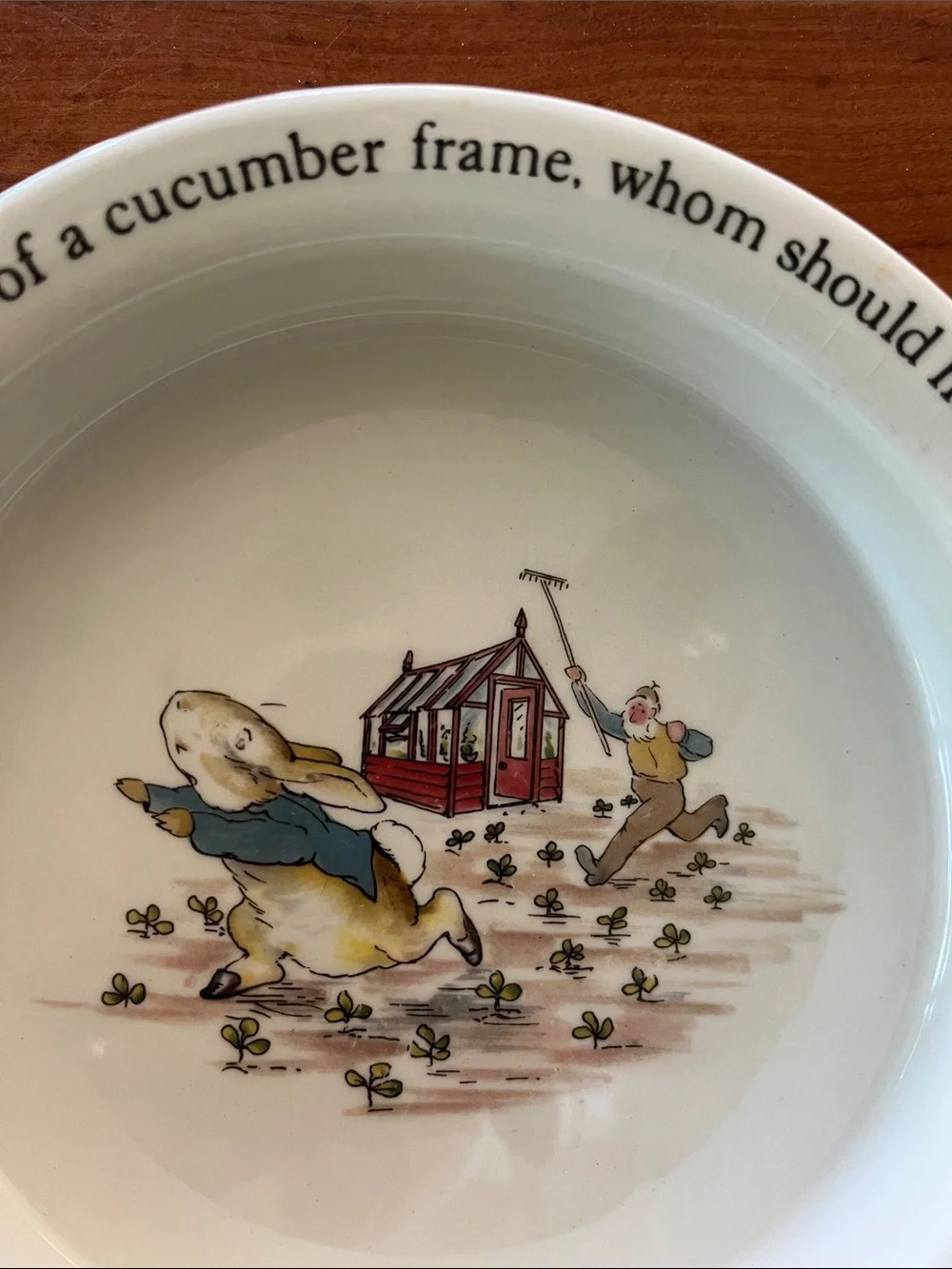 Vintage Wedgewood Peter Rabbit Display Bowl Made In England Porridge Bowl